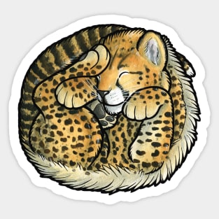 Cheetah cub Sticker